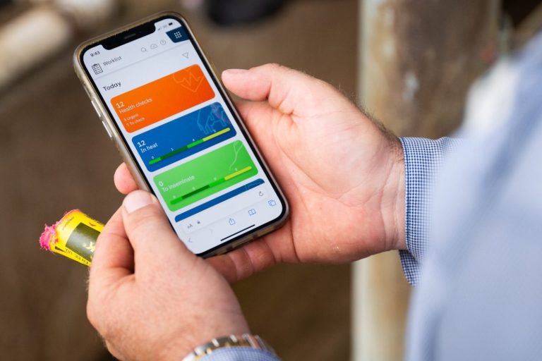 Bürstenroboter Eine Kuh wird von einem Roboterarm vorgemolken, der präzise und effizient arbeitet.